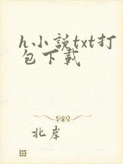 h小说txt打包下载