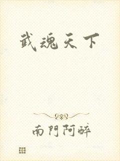 武魂天下