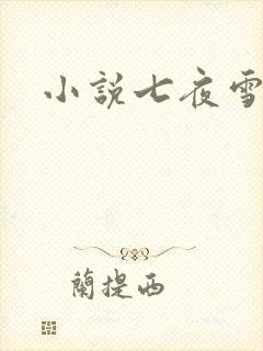 小说七夜雪下载
