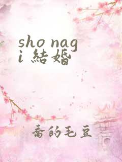 sho nagi 结婚