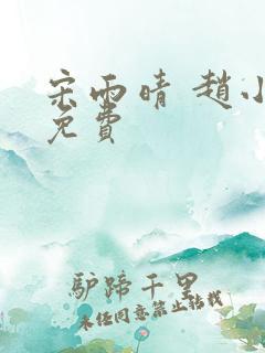 宋雨晴 赵小刚免费