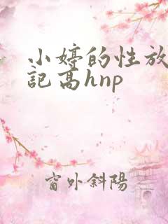 小婷的性放荡日记高hnp