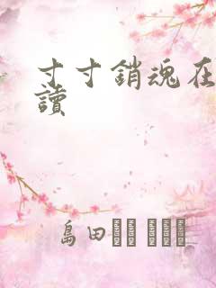 寸寸销魂在线阅读