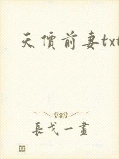 天价前妻txt