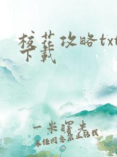 校花攻略txt下载