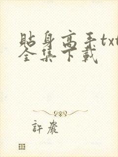 贴身高手txt全集下载