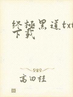 终极黑道txt下载