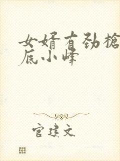 女婿有劲枪枪到底小峰