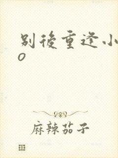 别后重逢小说po