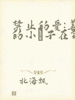 禁止的爱:善良的小峓子在钱姜