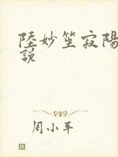 陆妙笙寂阳朔小说