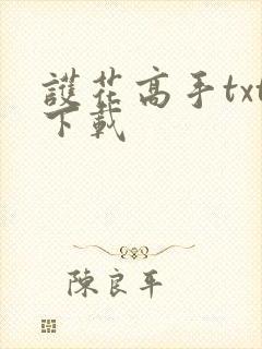 护花高手txt下载