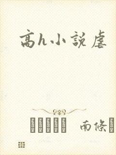 高h小说虐