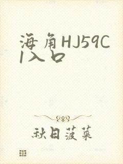 海角HJ59C1入口