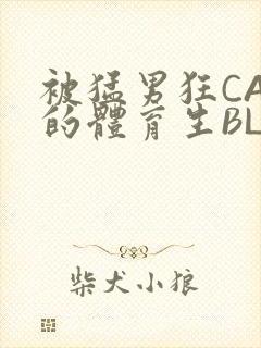 被猛男狂CAO的体育生BLUE