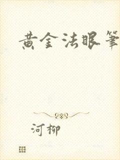 黄金法眼笔趣阁