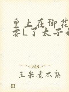 皇上在御花园里要L了太子妃