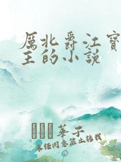 厉北爵江宝宝男主的小说