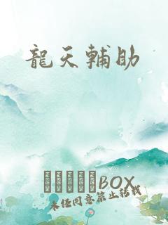 龙天辅助