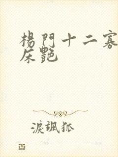 杨门十二寡妇肉床艳