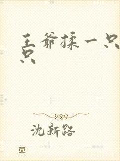 王爷揉一只舔一只