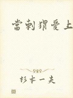 当刺猬爱上玫瑰