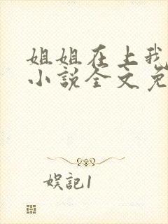 姐姐在上我在下小说全文免费阅读