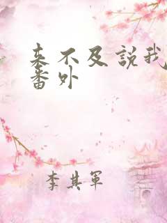 来不及说我爱你番外