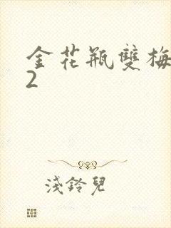 金花瓶双梅花12