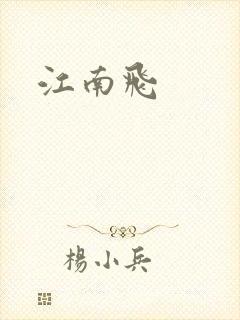 江南飞