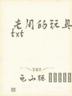 老周的玩具日记txt