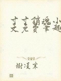 寸寸销魂小说全文免费笔趣阁