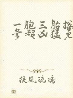 一胞三胎总裁爹爹超凶猛免费阅读