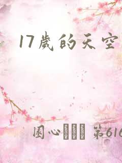 17岁的天空