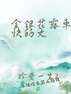 金银花露车速最快的文