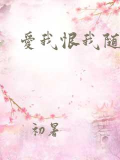 爱我恨我随便你
