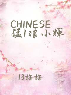 CHINESE猛1浪小辉