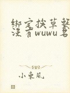 绑定挨草系统后没有wuwu名字