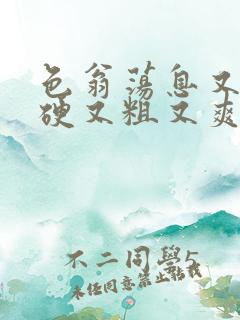 色翁荡息又大又硬又粗又爽