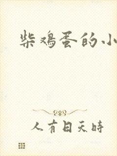 柴鸡蛋的小说