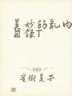 美妙的乱肉沉沦目录T
