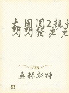 大团圆2亲情会闪闪发光免费