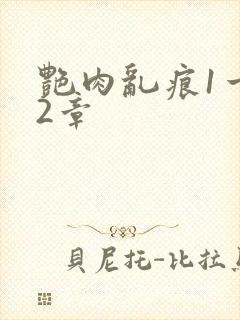 艳肉乱痕1一12章