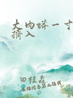 大肉蟒一寸一寸挤入