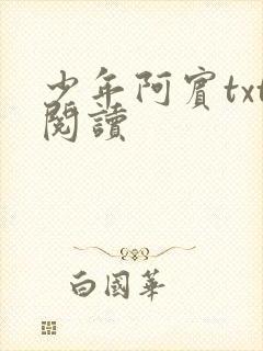 少年阿宾txt阅读