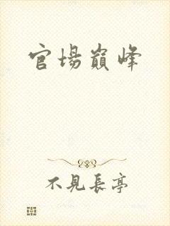 官场巅峰