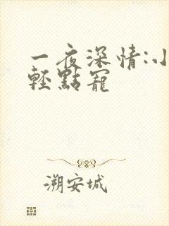 一夜深情:小叔轻点宠