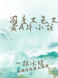 国产又色又爽又黄A片小说