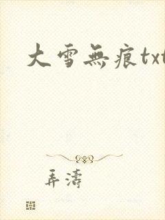 大雪无痕txt