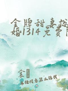 金牌甜妻总裁宠婚1314免费阅读